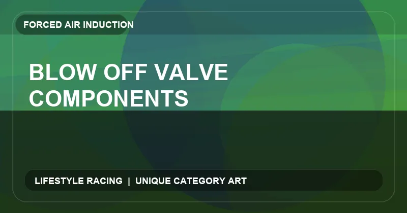 Blow Off Valve Components